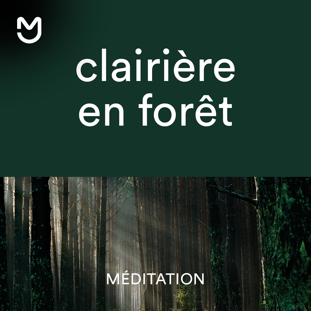 Clairière en forêt