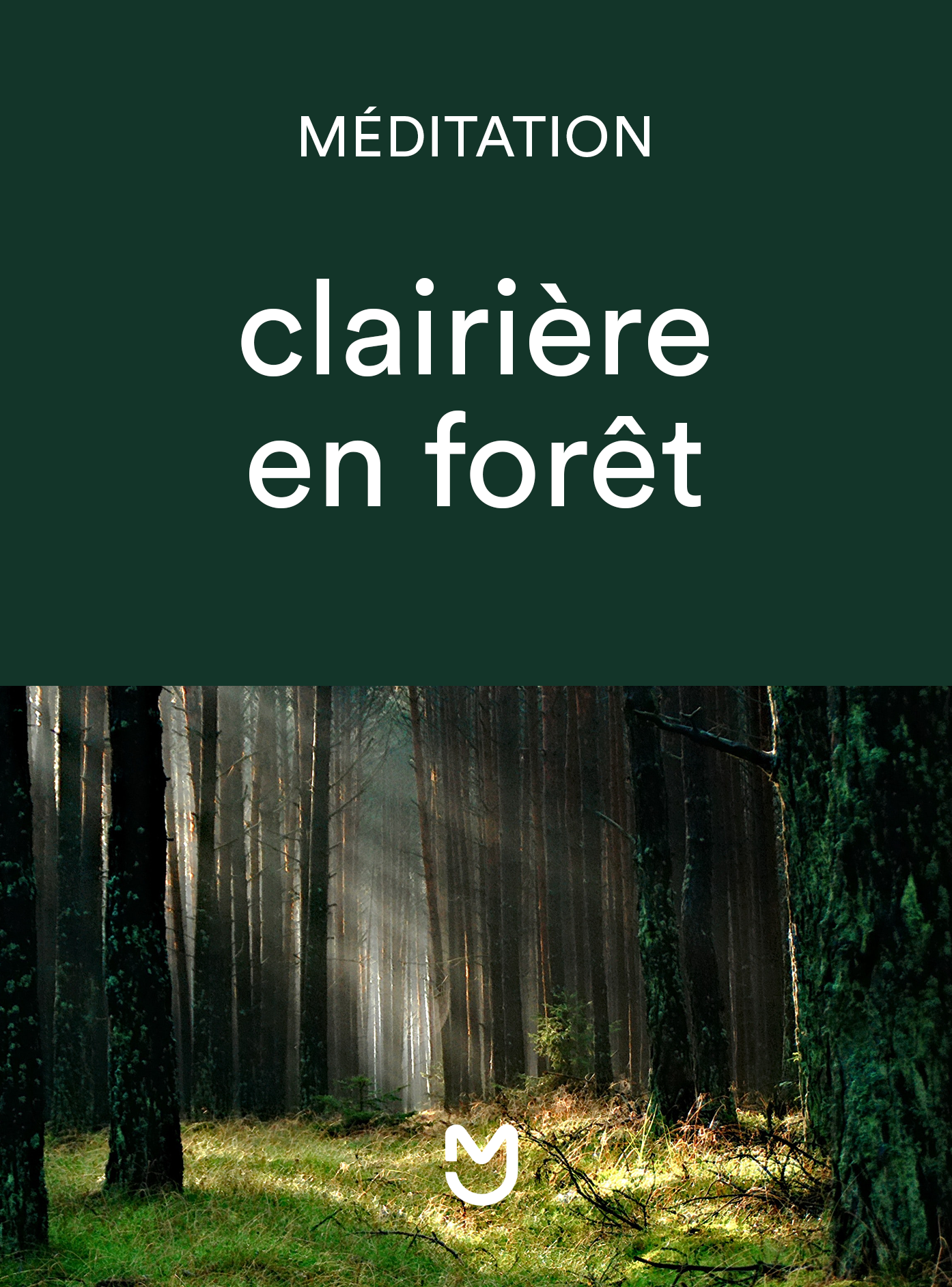 Clairière en forêt