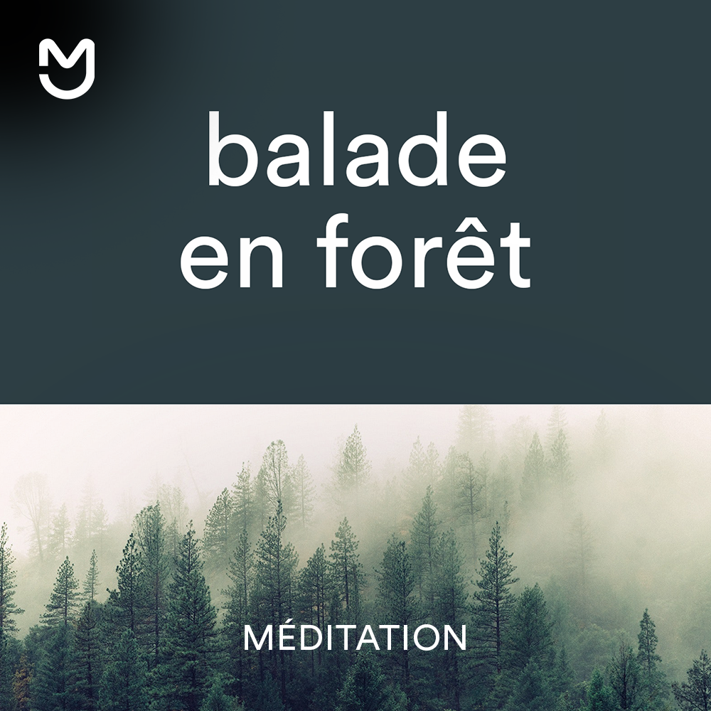 Balade en forêt