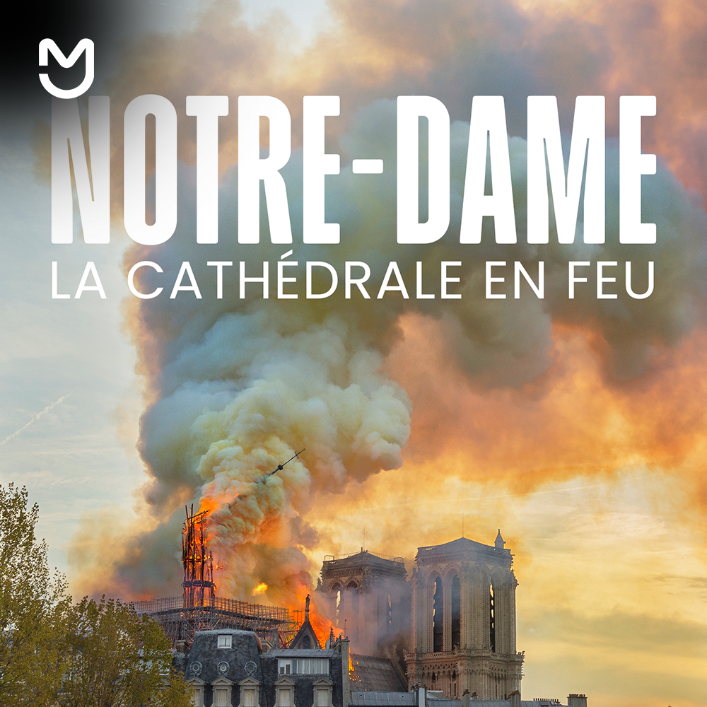 Notre-Dame, la cathédrale en feu