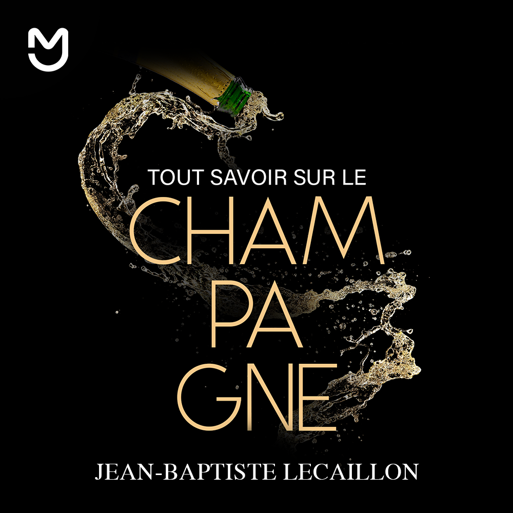 Tout savoir sur le champagne