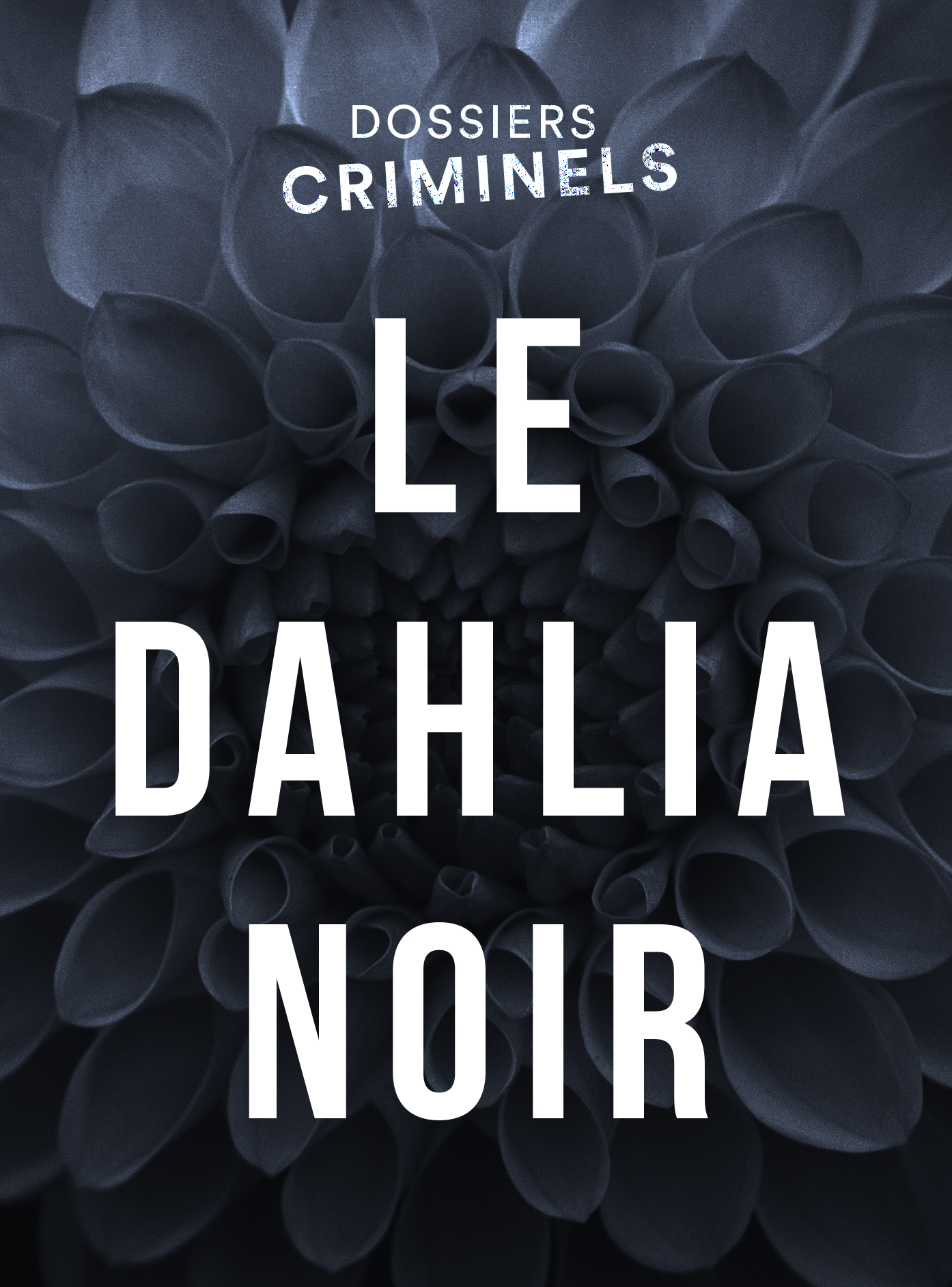 Le dahlia noir