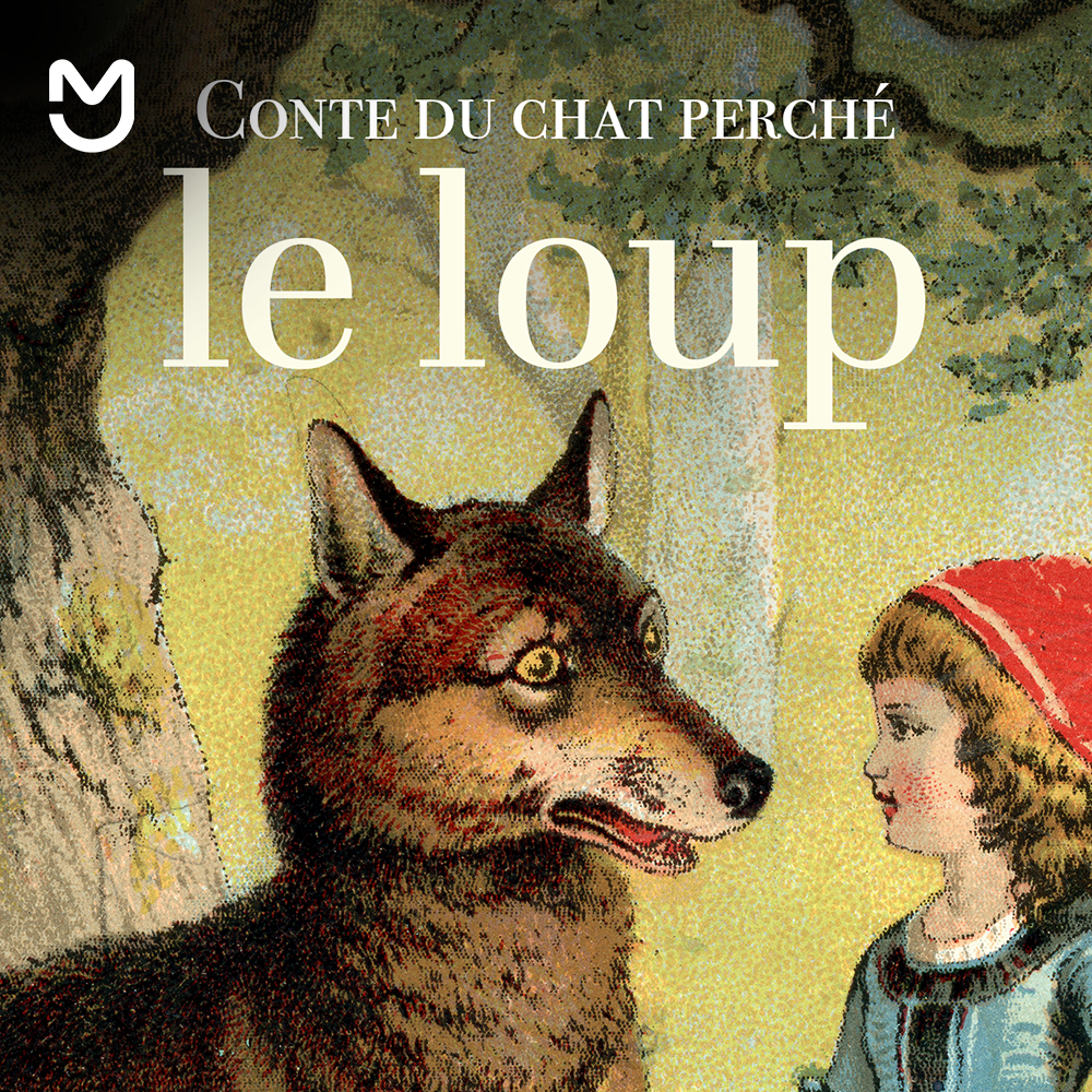 Chat perché - le loup