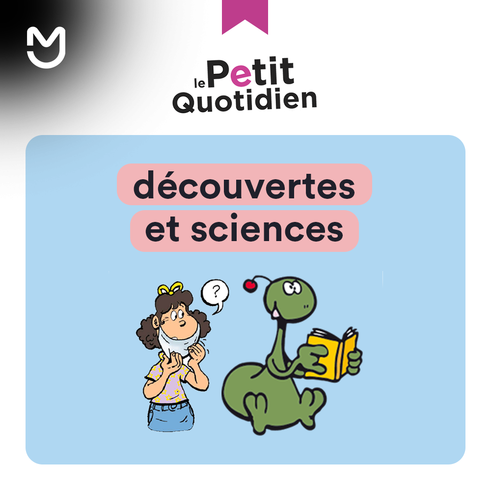 Le Petit Quotidien découvertes et sciences