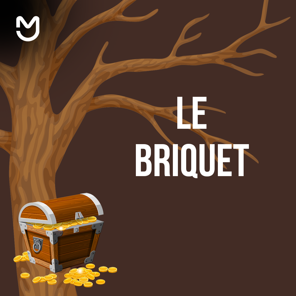 Le briquet