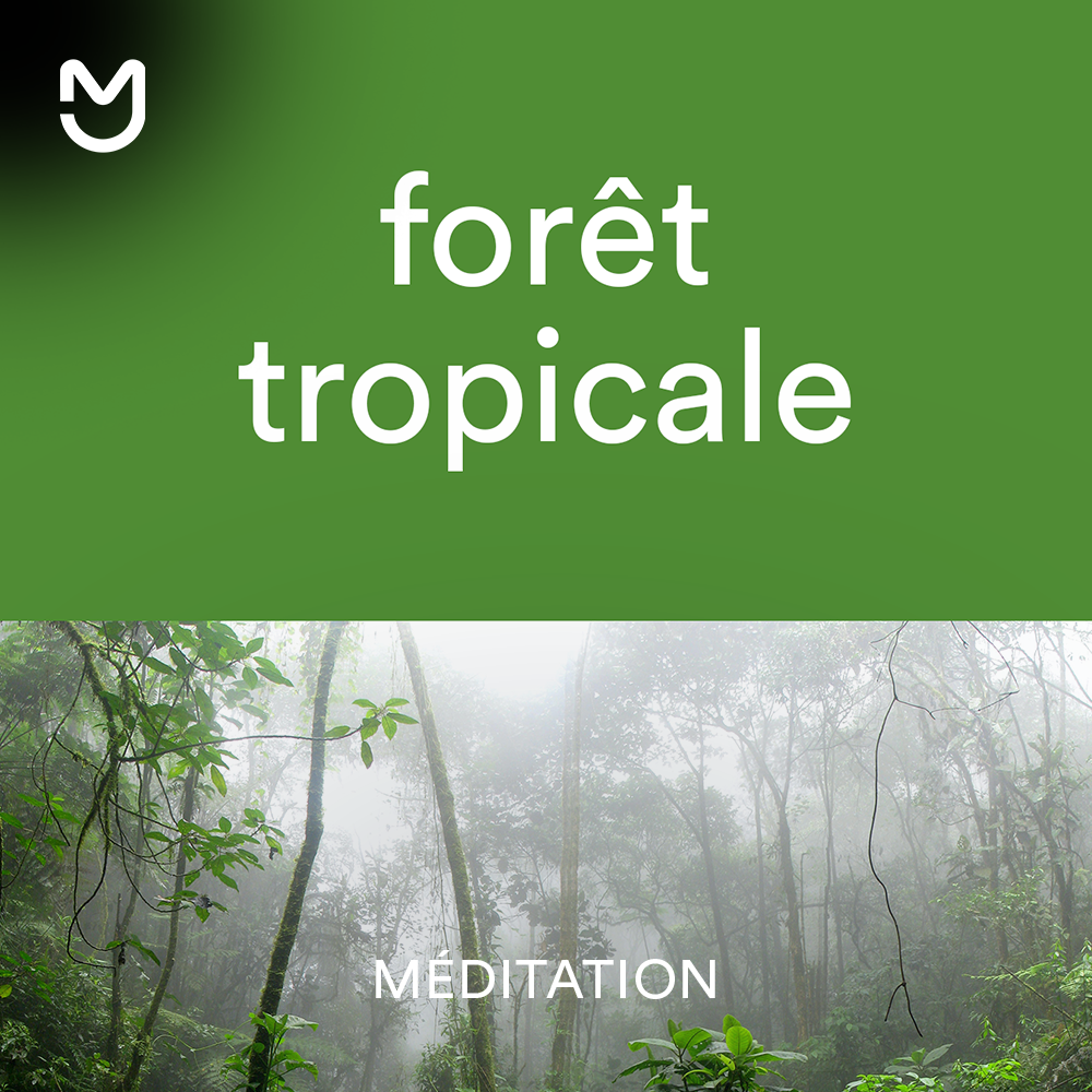 Forêt tropicale