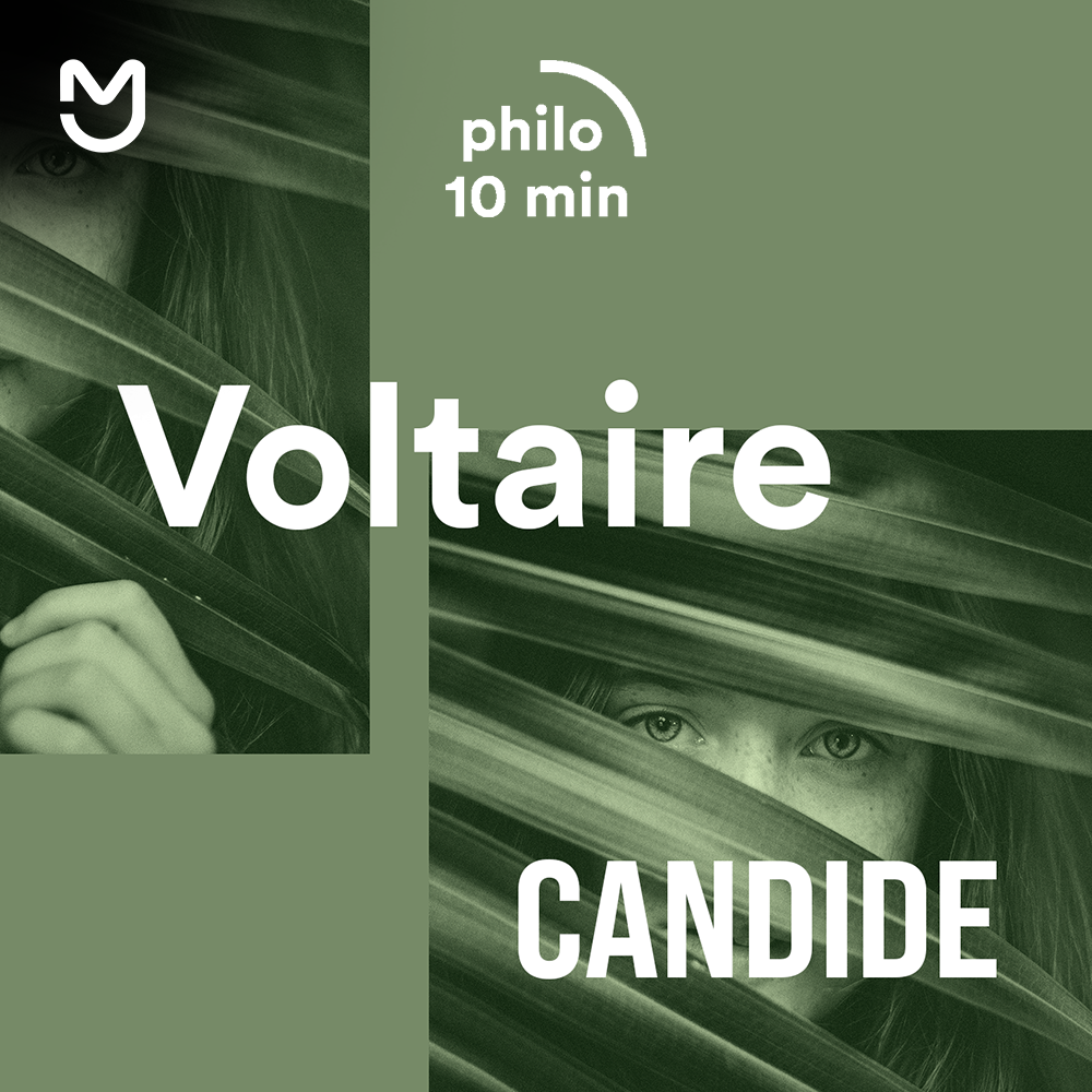 Candide : devenez (un bon) optimiste - Voltaire