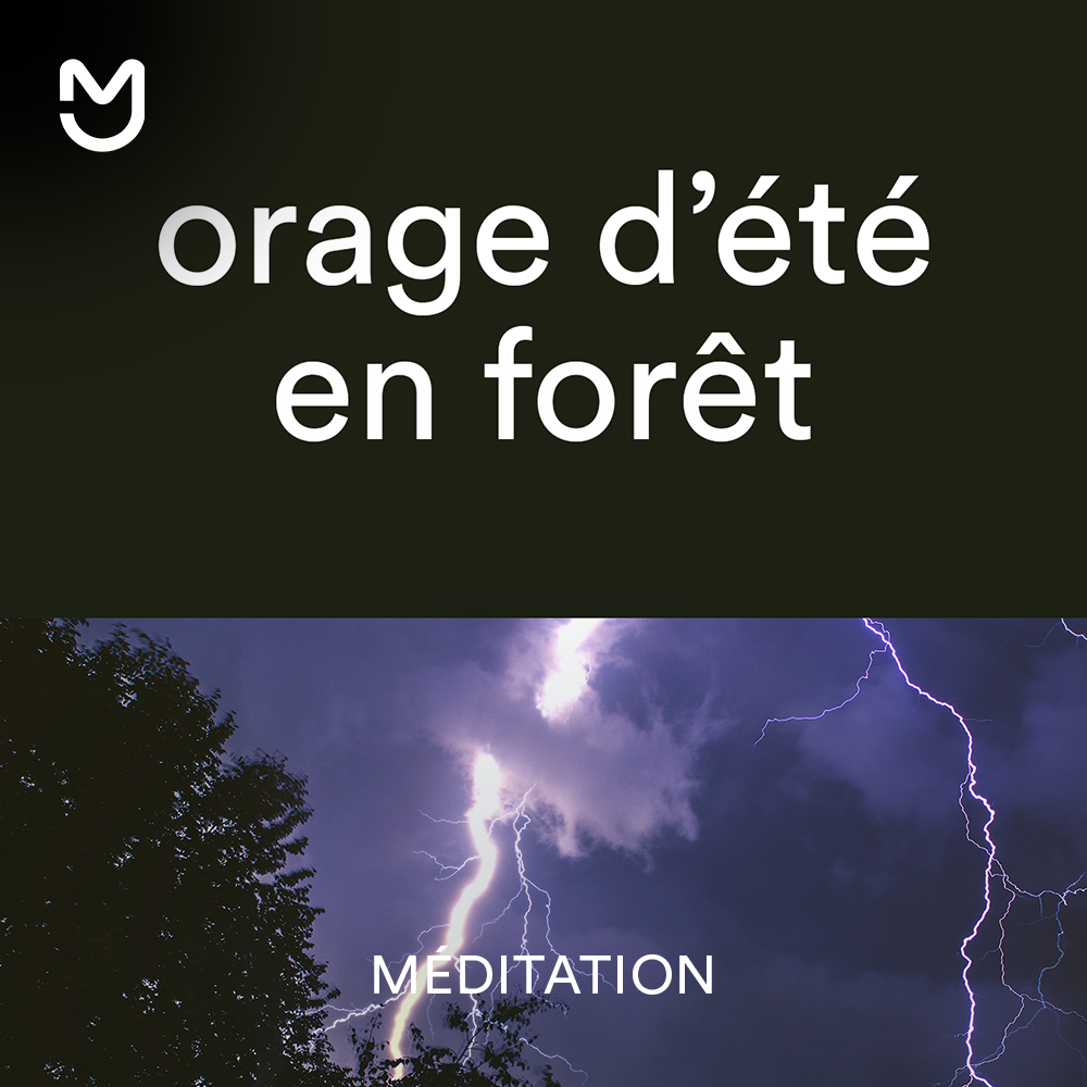 Orage d'été en forêt