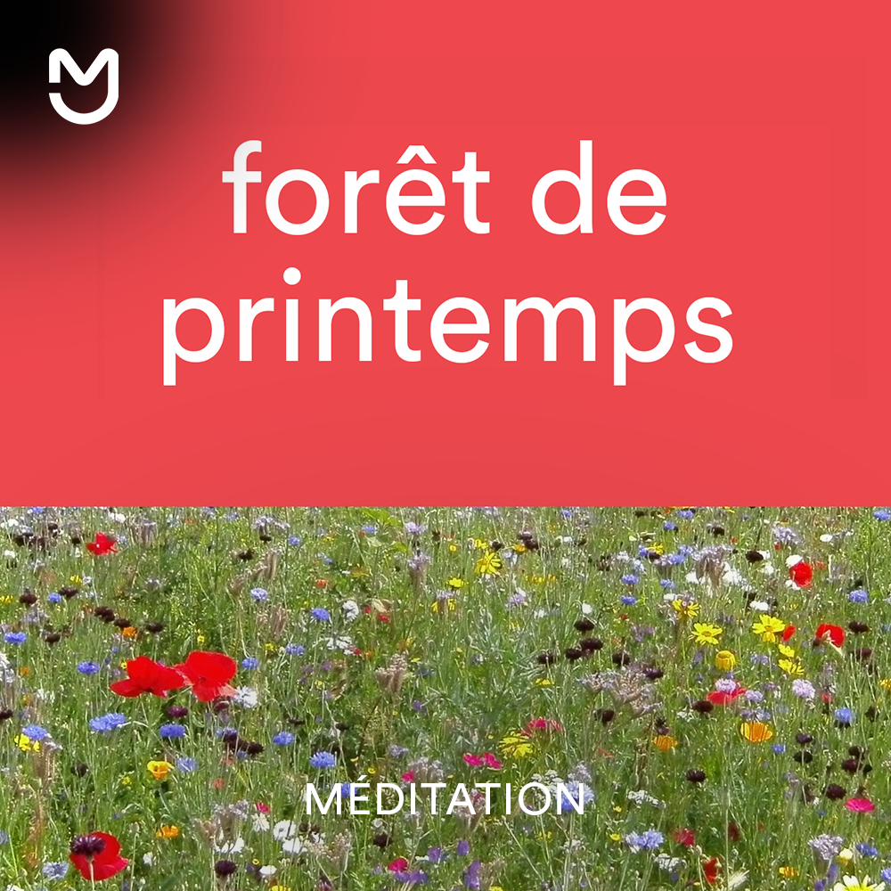 Forêt de printemps