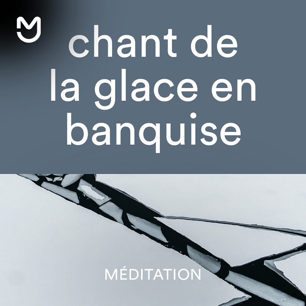 Chant de la glace en banquise